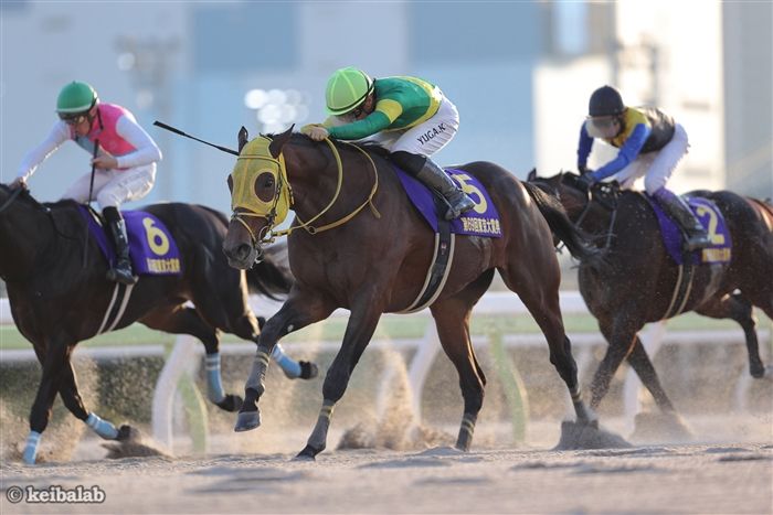 東京大賞典】豪脚披露！ウシュバテソーロが充実の1年を勝利で締める