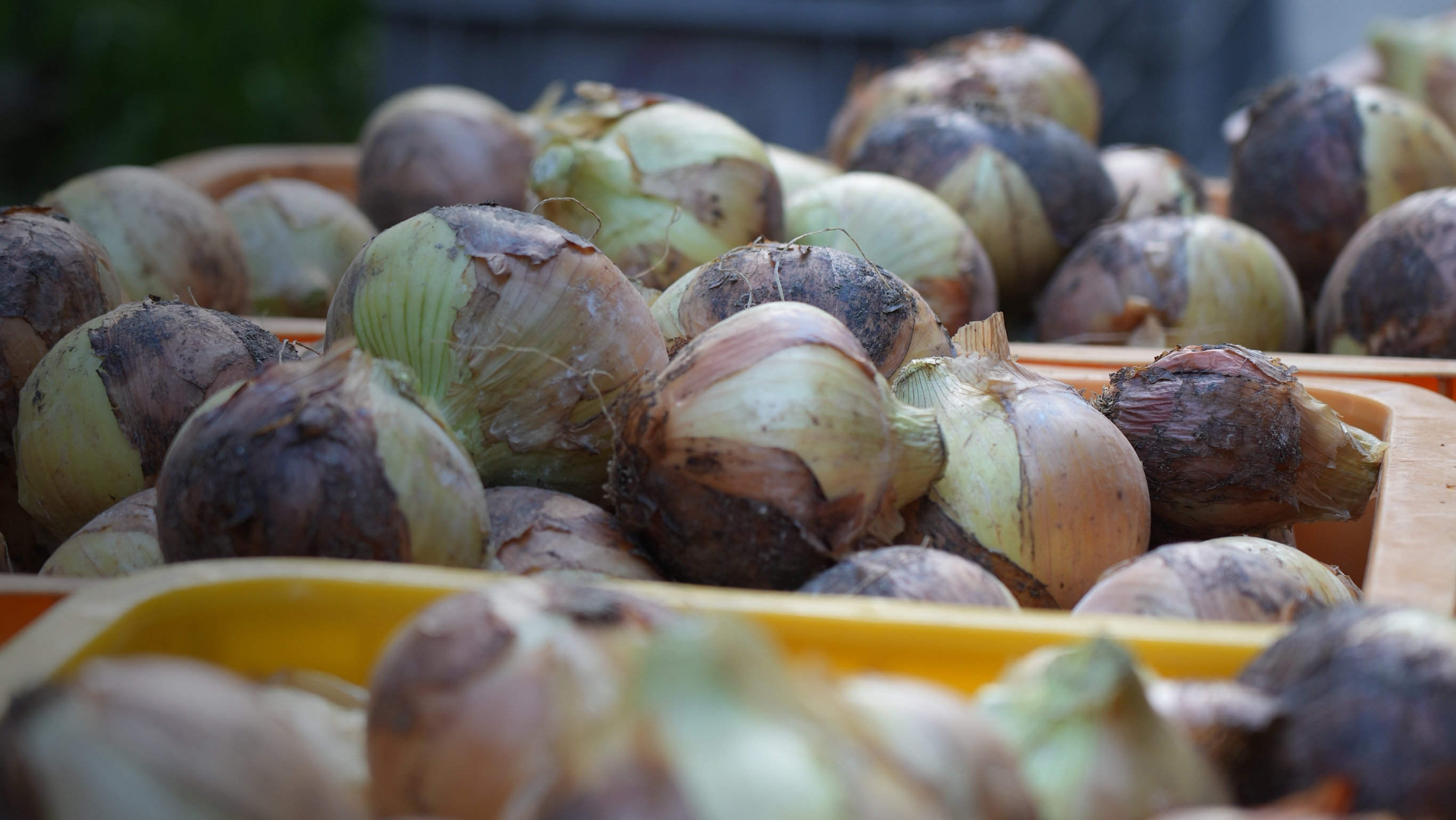 スマイルコミュニティー 通販サイト ｜三重県津市を拠点に無農薬栽培の