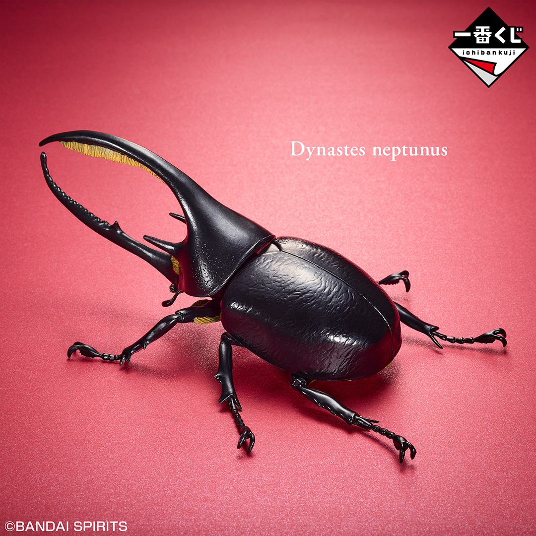 一番くじ昆虫 世界の昆虫博物館｜一番くじ倶楽部｜BANDAI SPIRITS公式