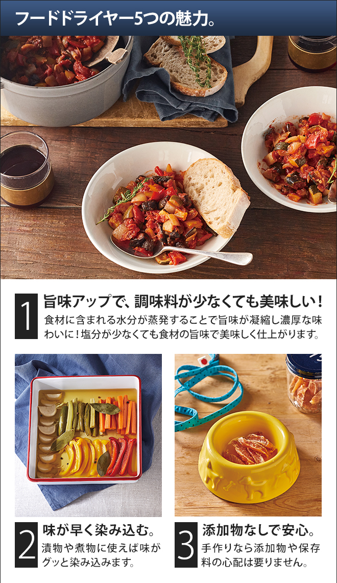 recolte フードドライヤー 【4つから選べるおまけ特典】 | セレクト