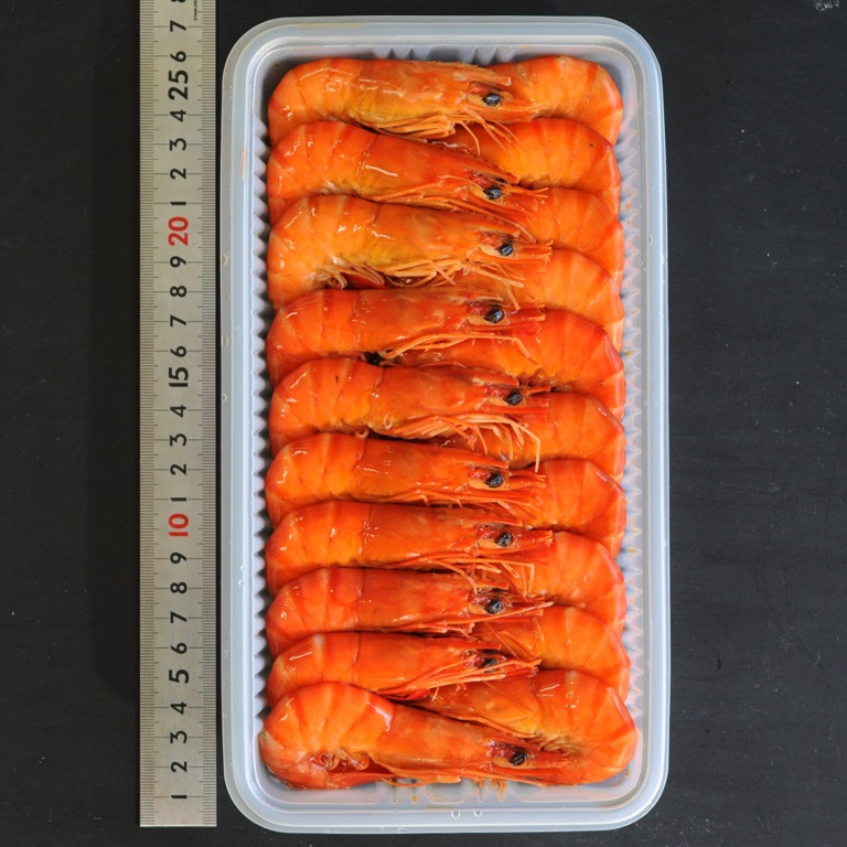 セレクトフーズ通販本店 / 海老旨煮L（ブラックタイガーえび20尾/500g