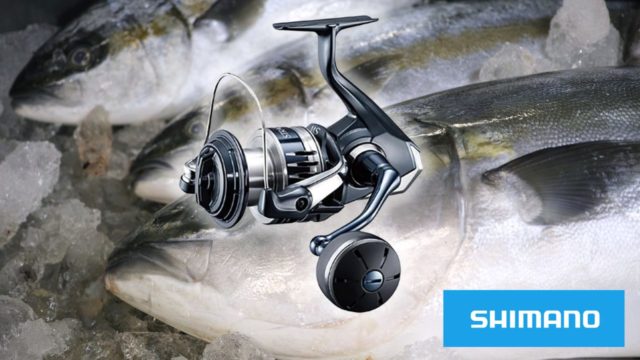 ステラ・ツインパは不要？20ストラディックSW6000HGが「コスパ最強」と