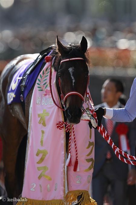 オークス】1番人気ラヴズオンリーユーが無敗＆レコードで樫の女王に