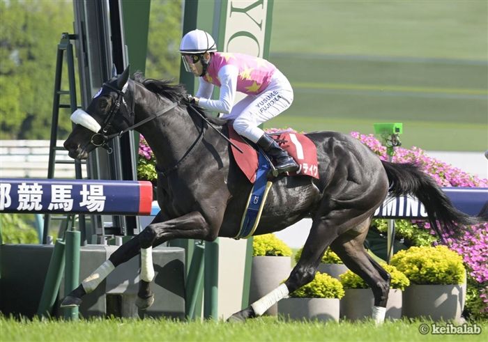 京都大賞典】巧さが好配馬券の決め手！美味しい2頭をご覧あれ | 3つ星