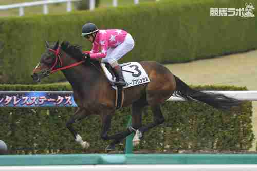 2012年最多勝ルーキー・菱田裕二騎手(後編) | 菱田裕二騎手 | 競馬ラボ