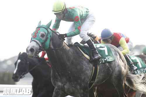 シルクロードS】ジョーカプチーノがNHKマイルC以来の重賞制覇！ | 競馬