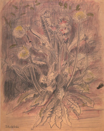 高畠達四郎｜静岡県立美術館 全所蔵作品