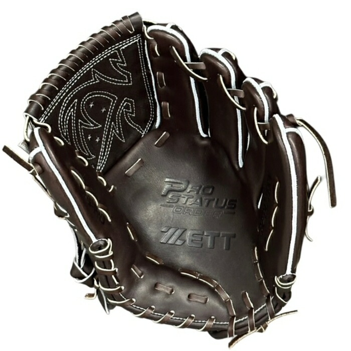 型付/グラブ/袋/刺繍無料】 ゼット(ZETT) プロステイタス 硬式オーダー