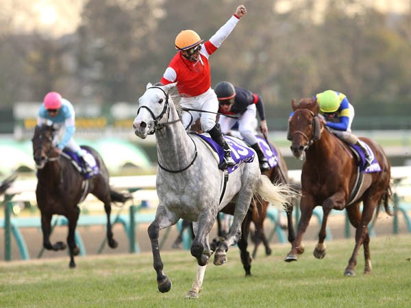 新・芦毛伝説の幕開け、ゴールドシップ豪脚V=有馬記念 - スポーツナビ