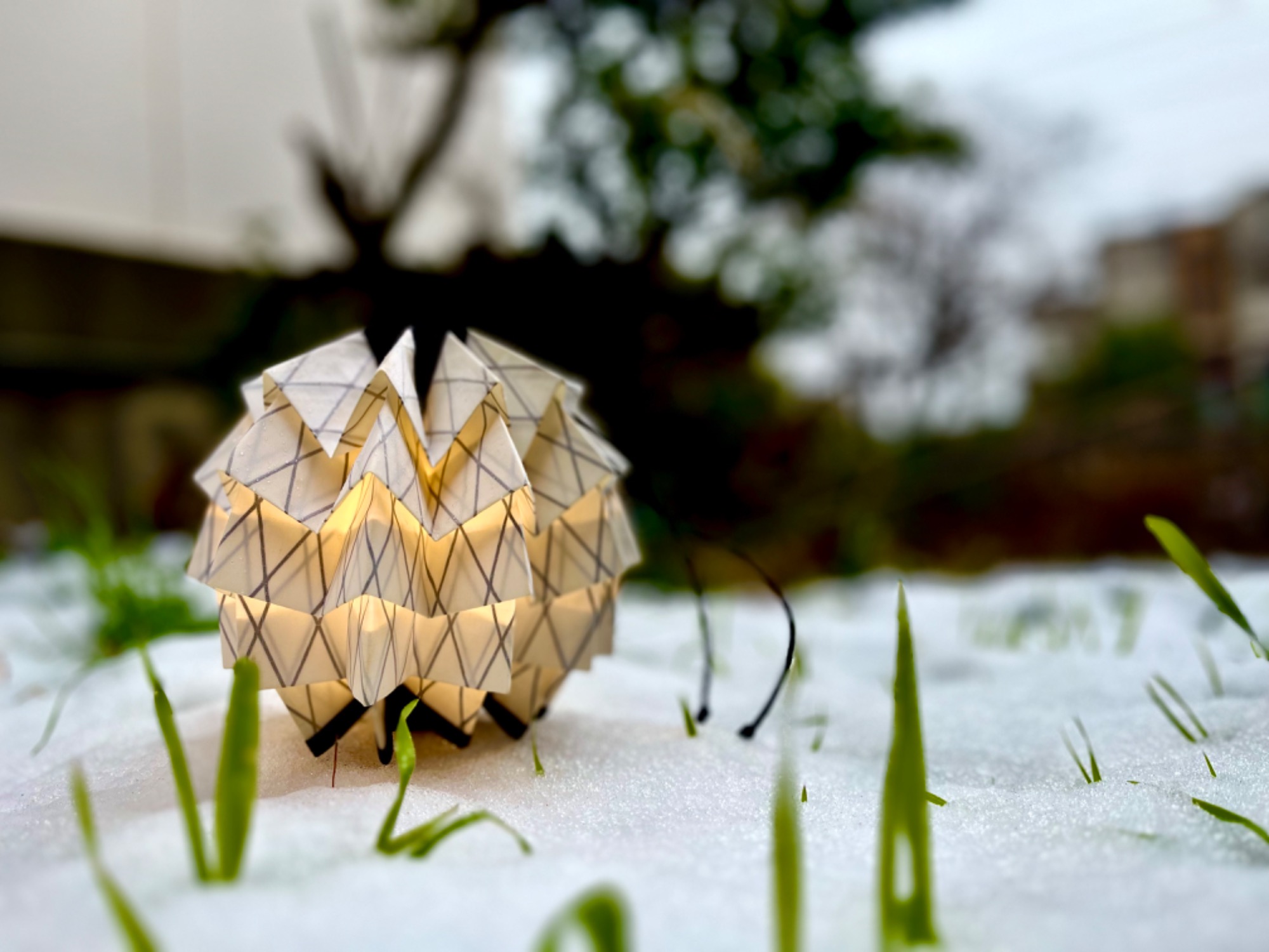 ソルオルといえばこのデザイン！元祖ホワイトX-PACのLサイズ！[2024.02