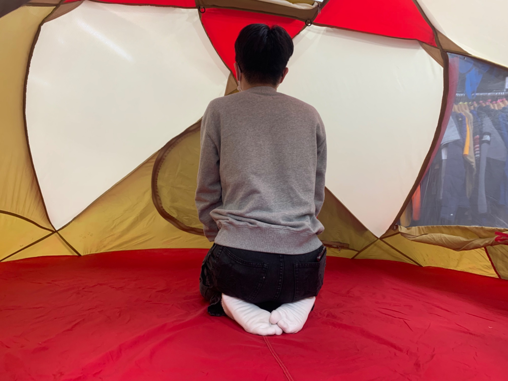 上を見上げれば花が咲く!!美を追求したMOSSテント【リトルディッパー