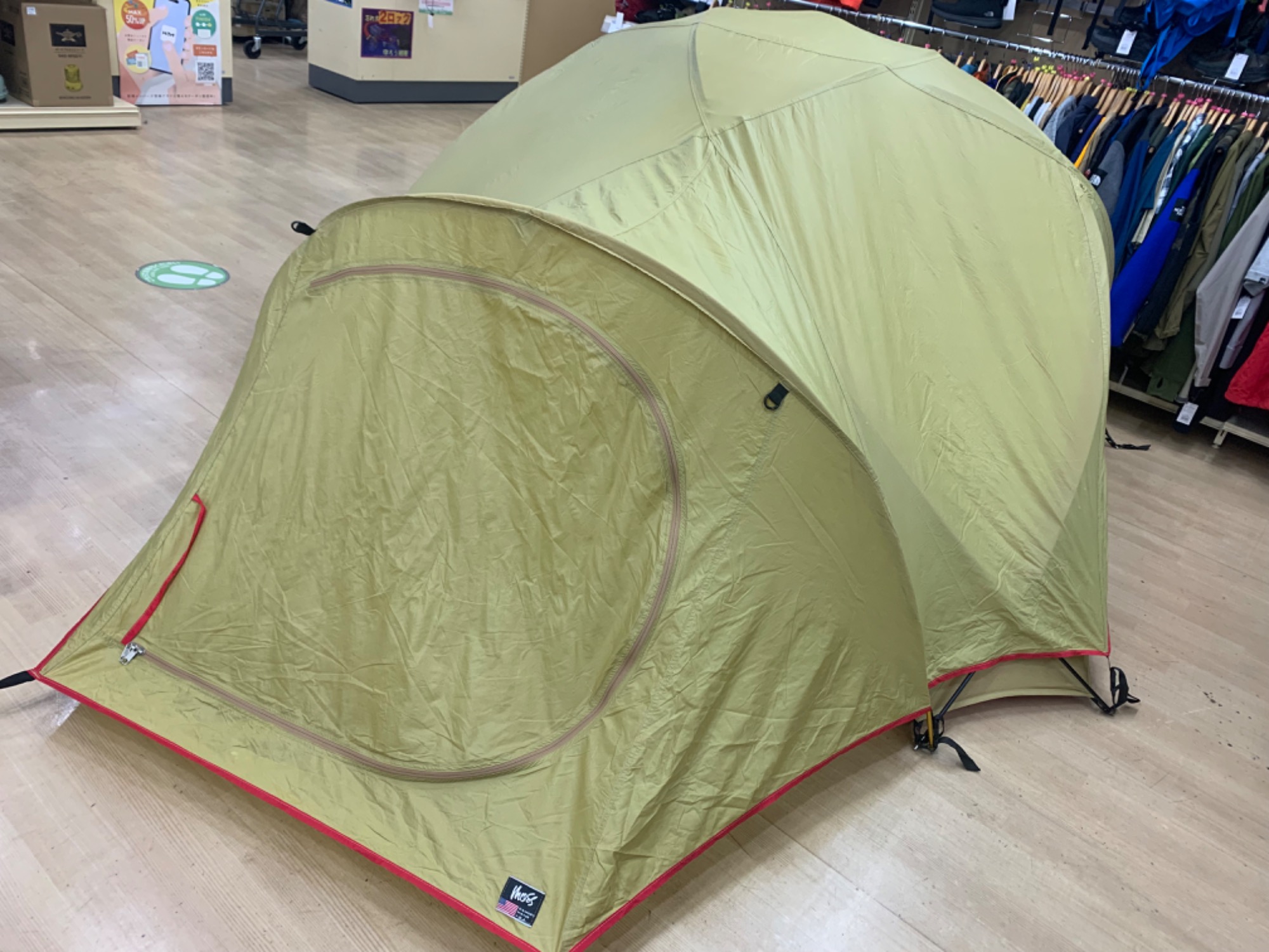 上を見上げれば花が咲く!!美を追求したMOSSテント【リトルディッパー