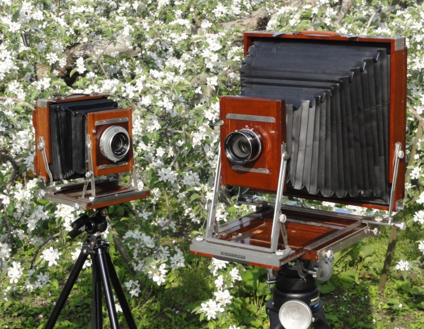 ディアドルフ専門店 スパロウ・フォトへようこそ