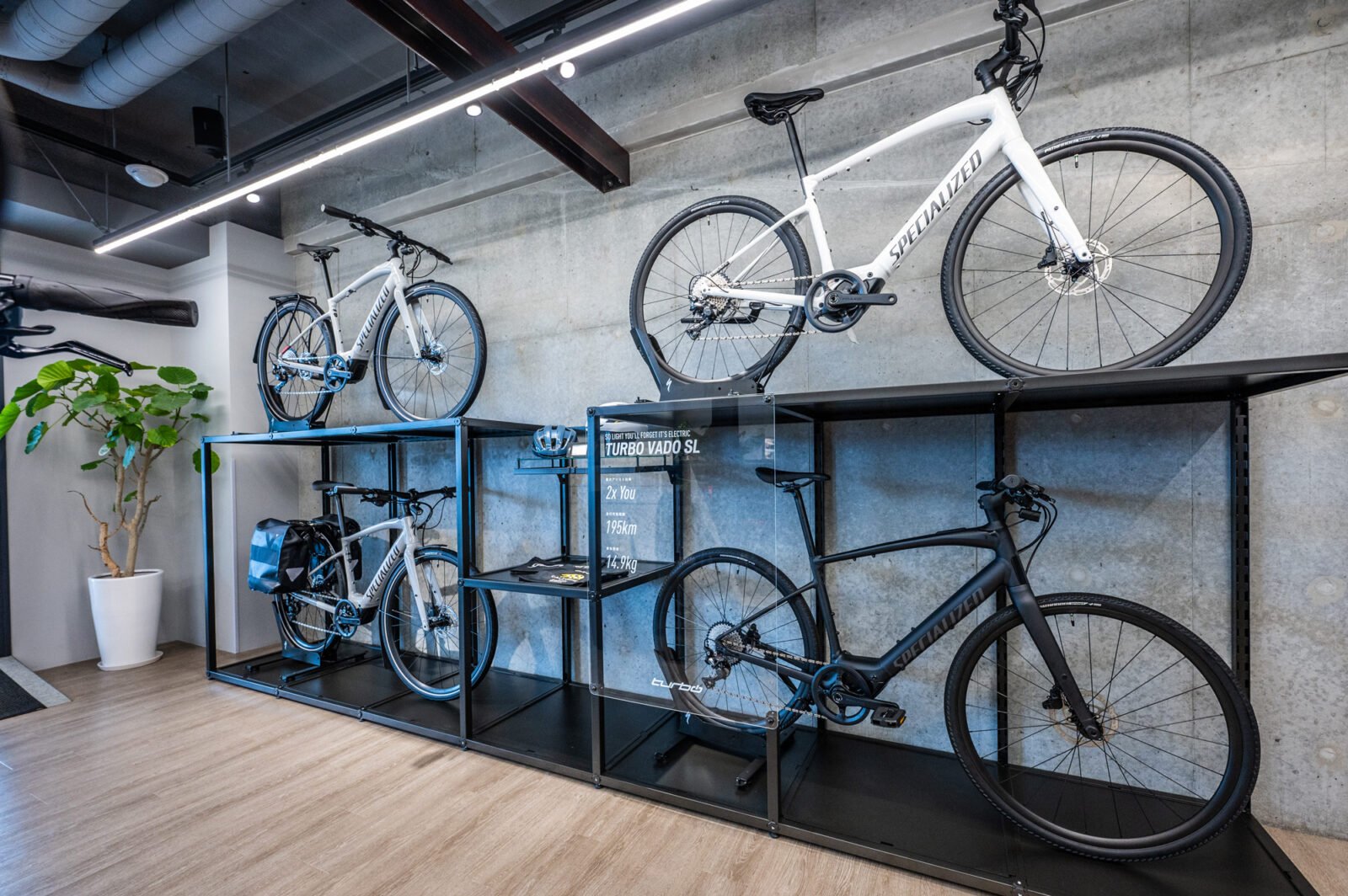 スペシャライズド 福岡 | Specialized Fukuoka