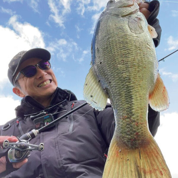 Df.pathway [PW-0053 MBK ] | [official]SWANS