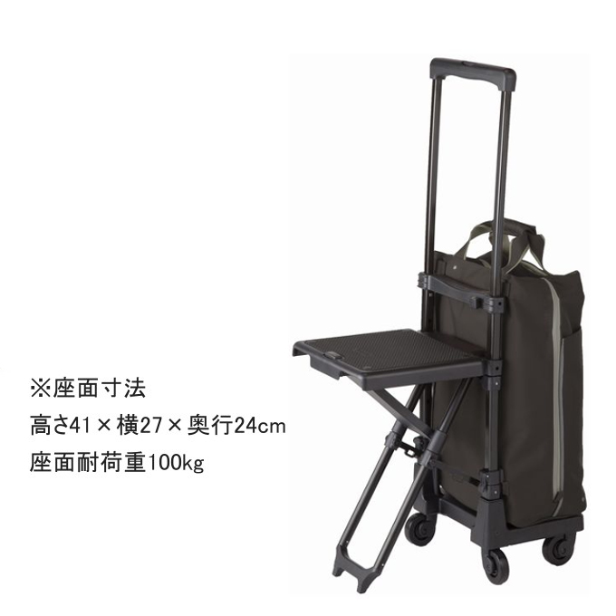 D-639 プレーネ 座面付 (L21) ブラック| キャリーバッグは信頼のスワニー