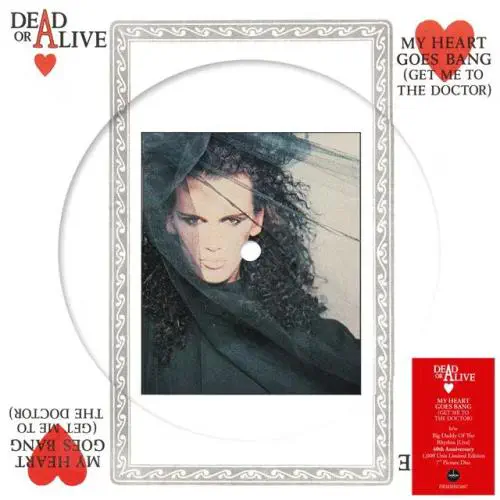 DEAD OR ALIVE / デッド・オア・アライヴ商品一覧｜ROCK / POPS