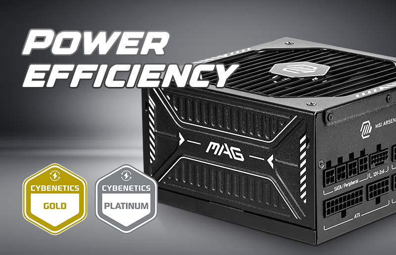 MAG A1250GL PCIE5 | Power Supply | Overflow With Power