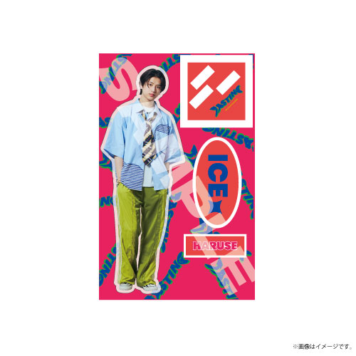 商品詳細ページ | ONLINE SHOP スタダ便 | 【SALE】[ICEx]TASTING