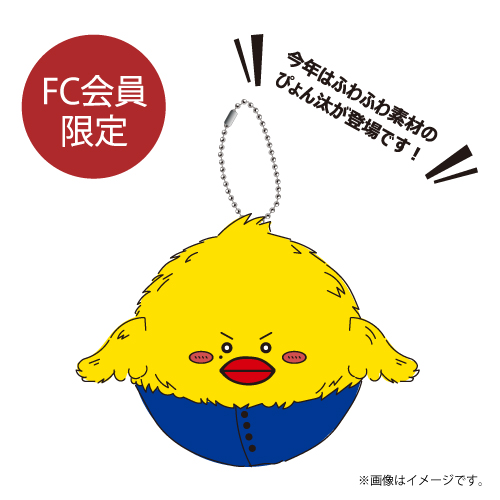 商品詳細ページ | ONLINE SHOP スタダ便 | [ONE N' ONLY]【FC会員限定
