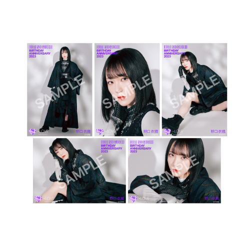 商品詳細ページ | =LOVE OFFICIAL SHOP | 野口衣織生誕記念セット2023