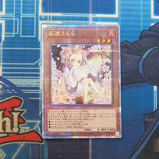 灰流うらら 25」の激安通販 | magi