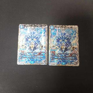 シャコガイル b」の激安通販 | magi