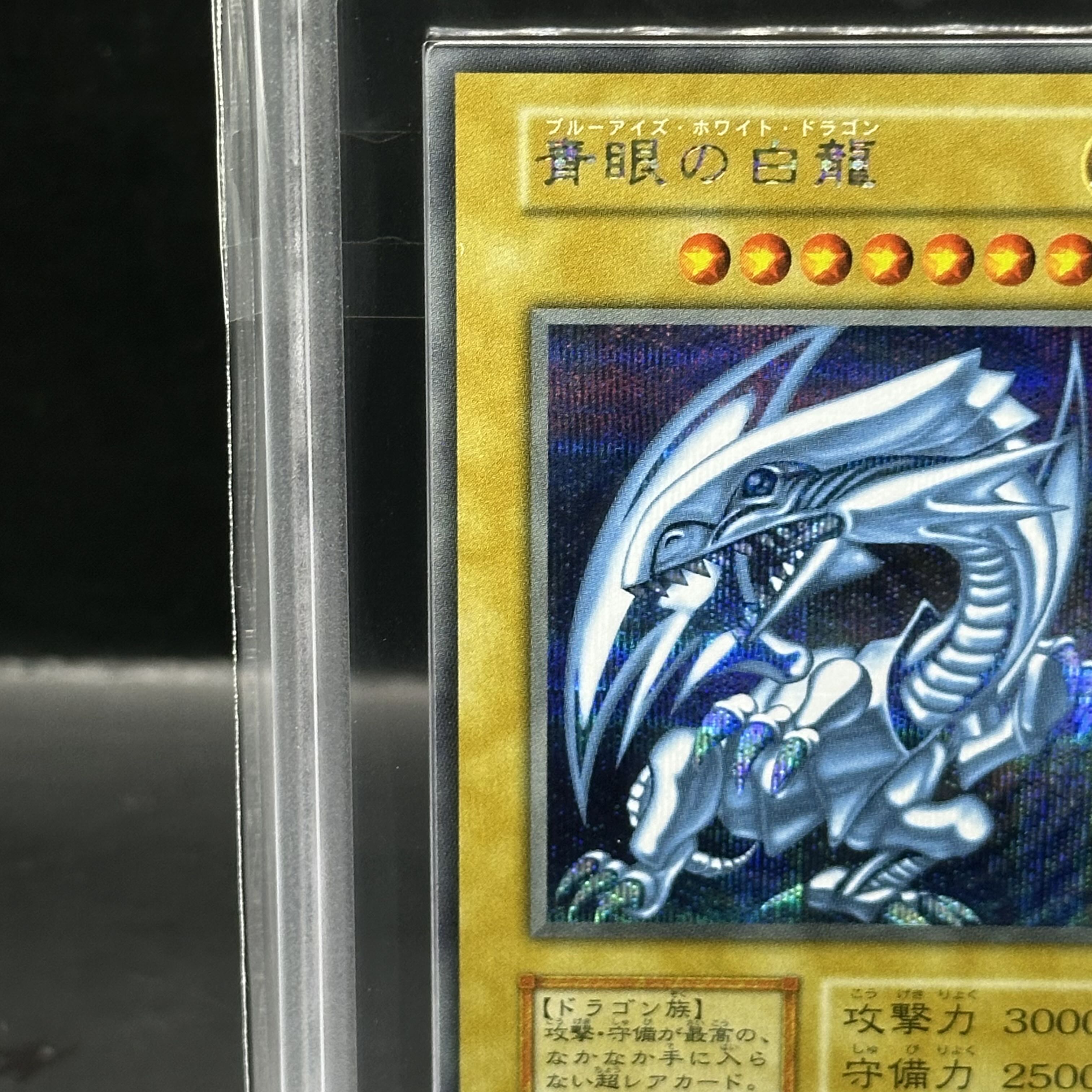 T*N様 青眼の白龍 復刻版シクブル3枚セット T*N様 青眼の白龍 復刻版