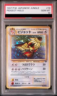 ピジョット 旧裏」の激安通販 | magi