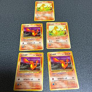 旧裏 ヒトカゲ」の激安通販 | magi