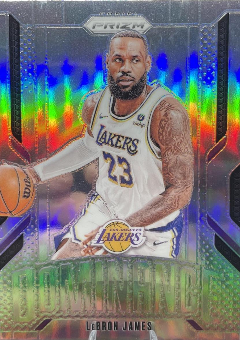 LeBron James [Silver] #14 Prices | 2024 Panini Prizm Dominance