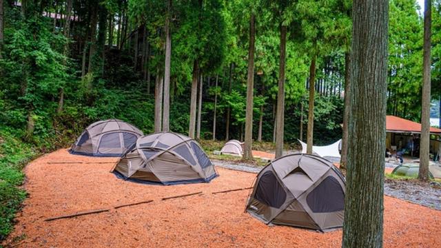 MIYAMA CAMPING FIELD｜楽天トラベルキャンプ