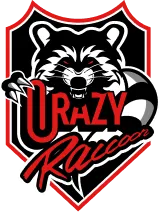 公式】Crazy Raccoon MOUSEPAD - クレイジーラクーンのオリジナル