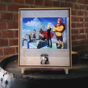 ワンピース】25 Eternal Shots プレミアムアクリルアートフレーム 23