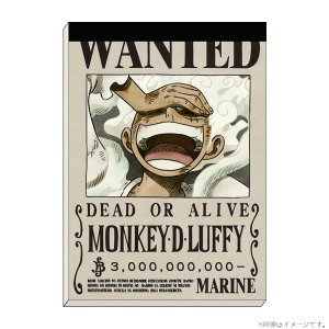 ワンピース】手配書クリアファイル ロビン 9億3000万