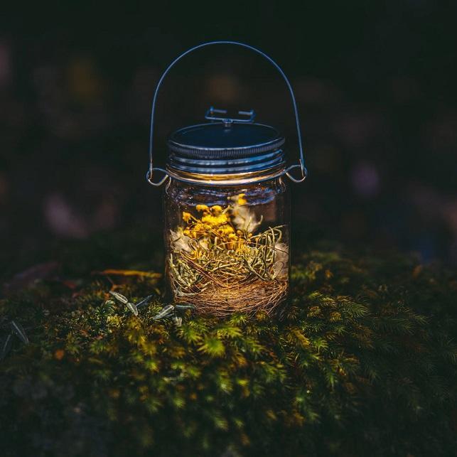 ソネングラス 250ml Mini / Generation6 -の商品詳細 | 蔦屋書店