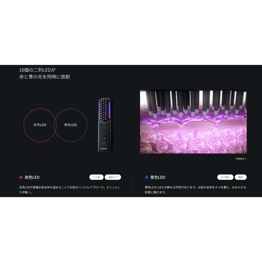 Brighte（ブライト）ELEKI BRUSH +（エレキブラシプラス）【美顔器