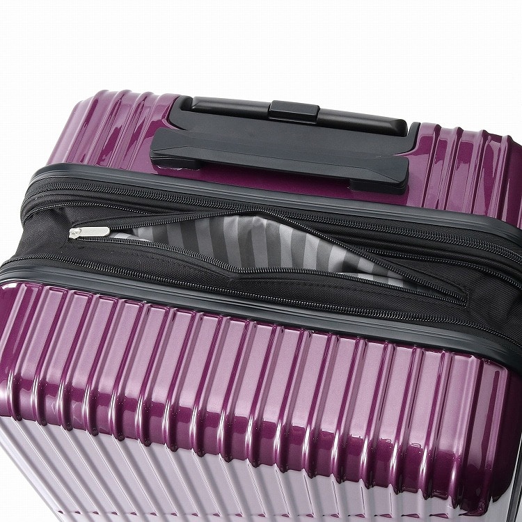 WEB限定】 ACE クレスタ スーツケース 64/70L エキスパンド機能 06317