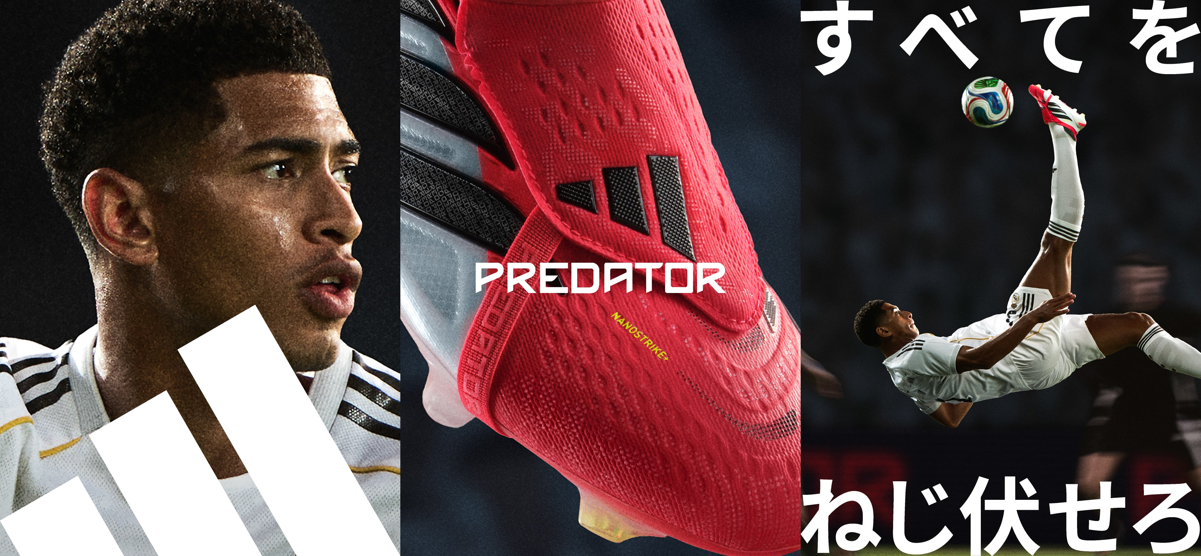 PREDATO or F50 制圧か、暴走か。NEWモデル | スポーツ用品の通販は