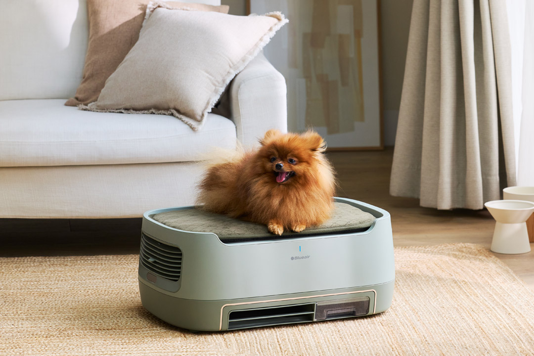 PetAir Pro P3i Green |【公式】ブルーエア空気清浄機 | Blueair
