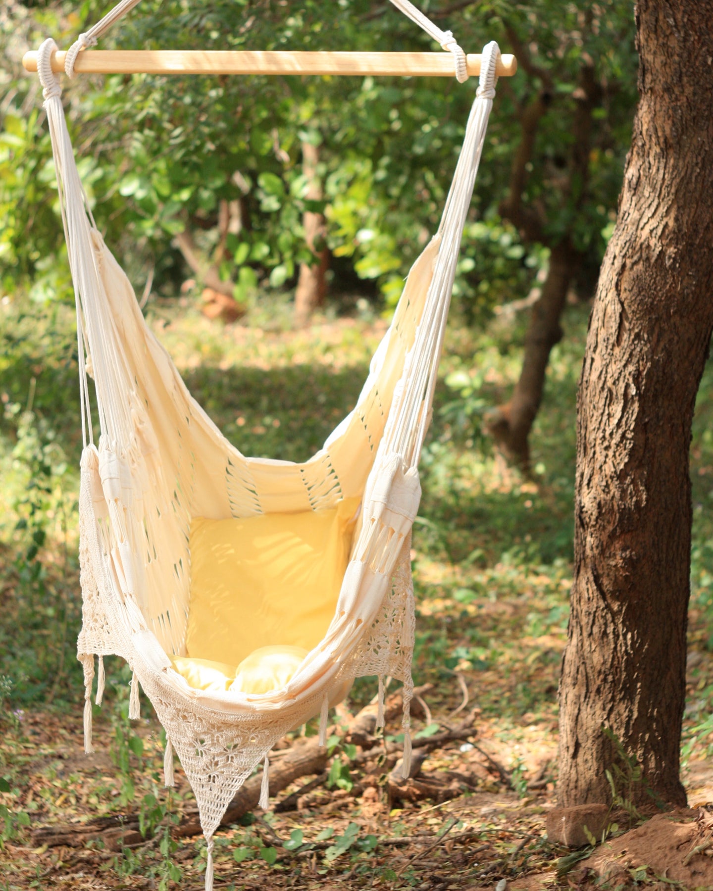 Organic Cotton Ceara Chair Hammock – Hammock2000