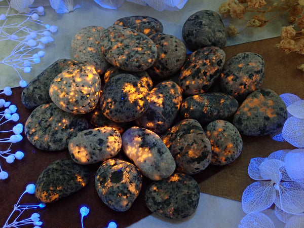 P8319886_grande.jpg?v=1713335752