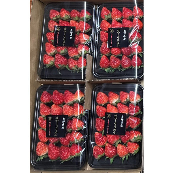 人気抜群の長野県オリジナル夏いちご サマーリリカル 200g×4【長野県