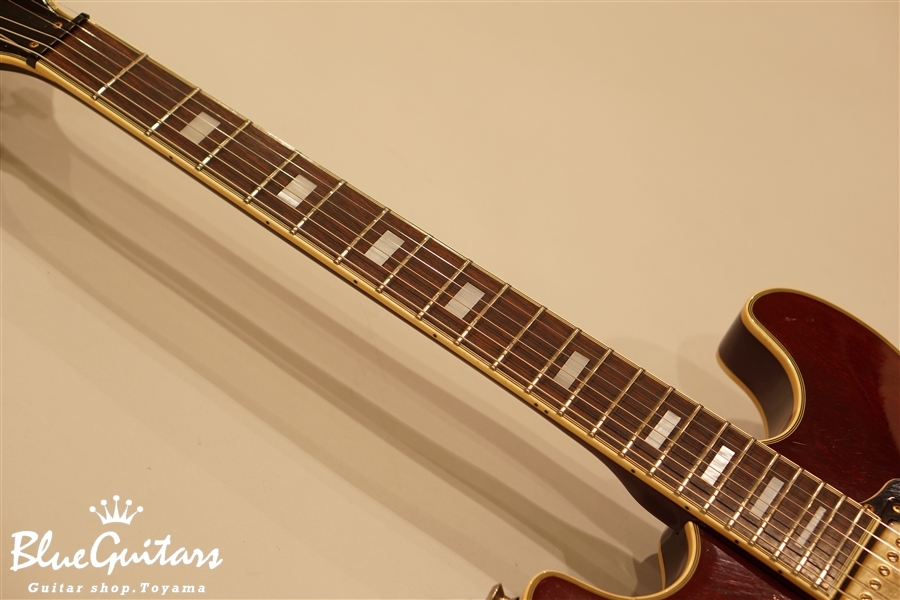 Aria Pro II TA-62 - Wine Red | Blue Guitars Online Store