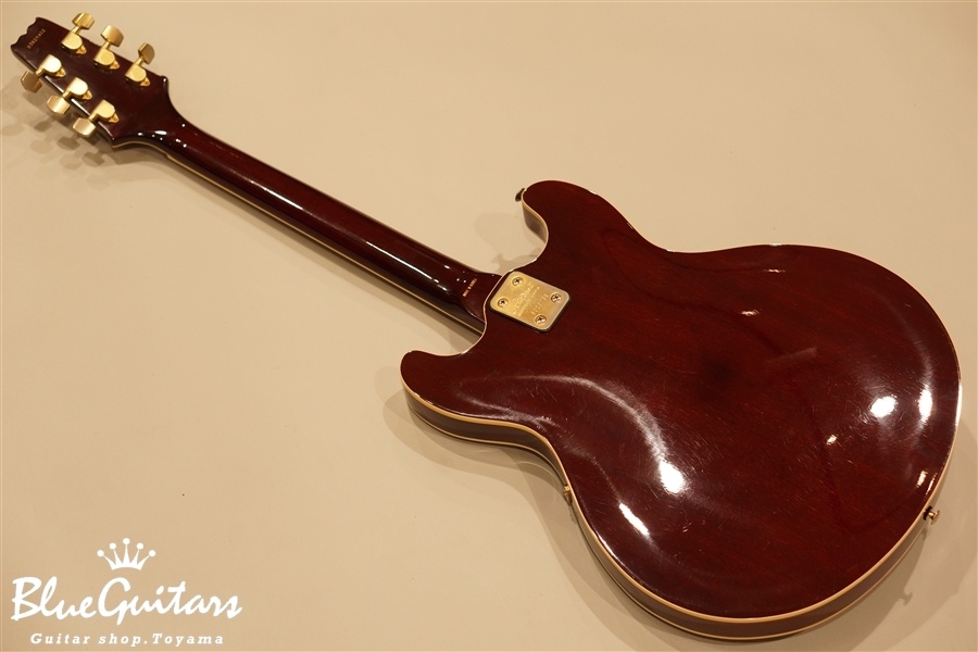 Aria Pro II TA-62 - Wine Red | Blue Guitars Online Store