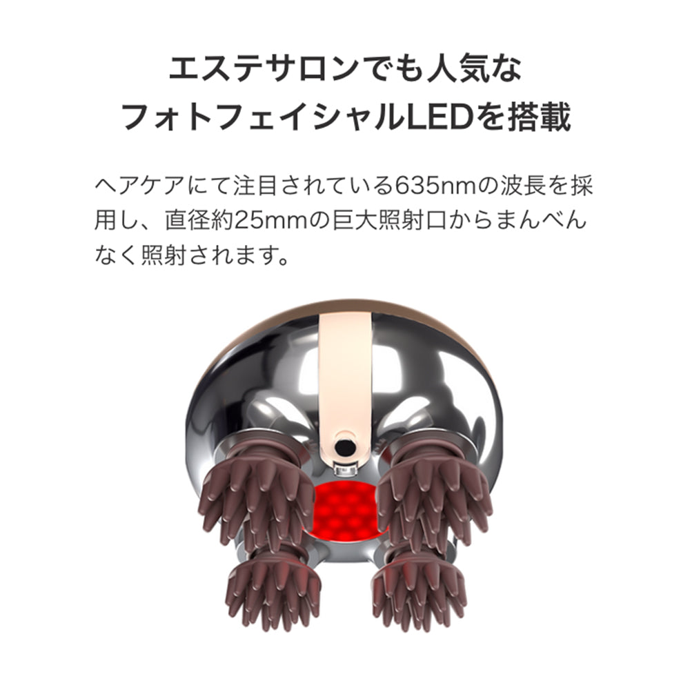 ZOGANKIN SCALP(ゾーガンキンスカルプ) – acote shop