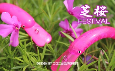 ☆城峰オリカラ 芝桜グロー 通販サイト販売開始☆ | 秩父の釣具屋【城