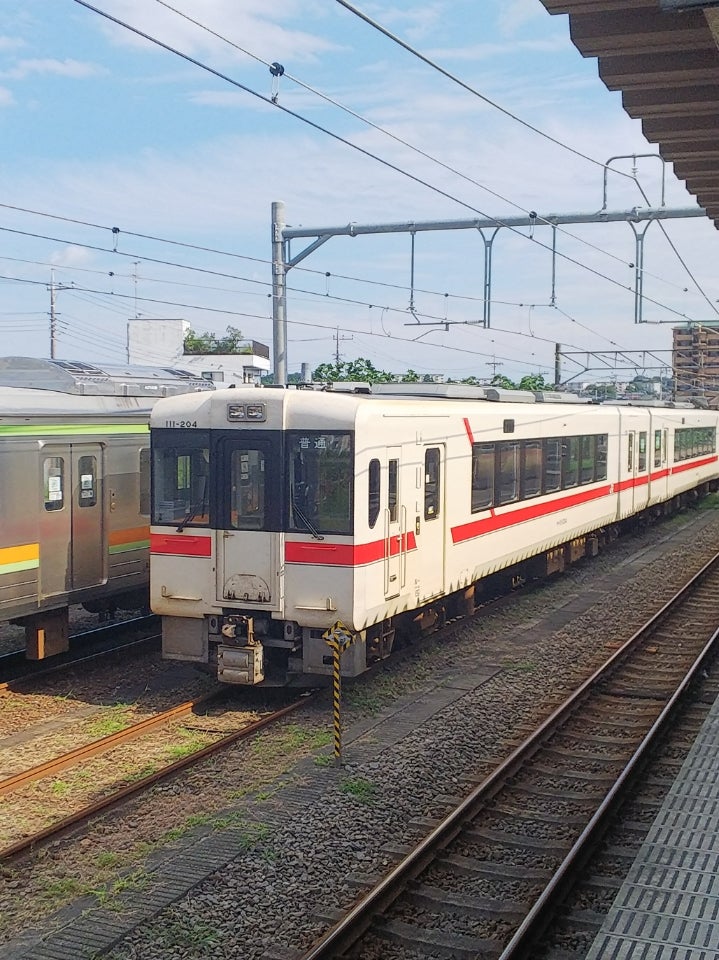 八高線のキハ110系 リバイバルカラー | しゃもじ＠しゃもぽんの