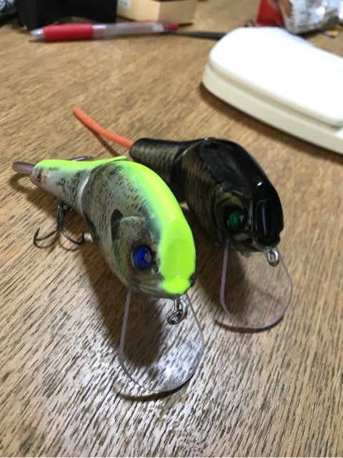 vans bait 富嶽 デットスローモデル | KAMIKAZEの琵琶湖釣行ブログ