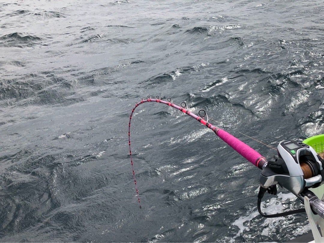 アリゲーター ビーダンサー250で狙うコマセマダイ | naoki-maruokaのブログ